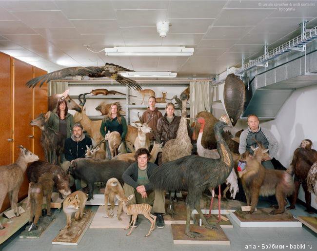 Клубы по интересам — Интересное и необычное: фотоподборки (фото 10)