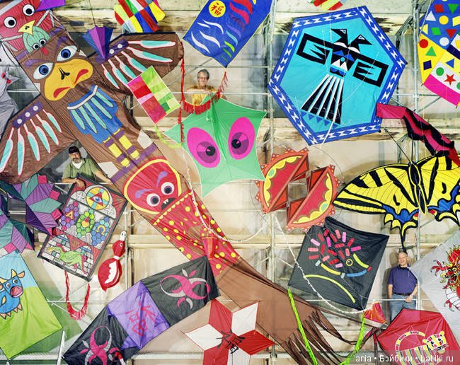 Клубы по интересам — Интересное и необычное: фотоподборки (фото 2)