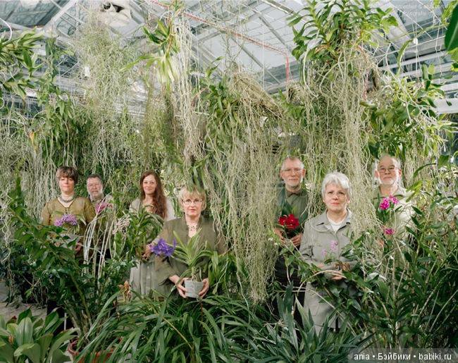 Клубы по интересам — Интересное и необычное: фотоподборки