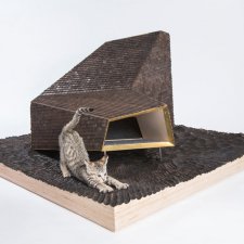 Кошачья архитектура