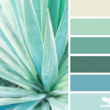 Сочетание цвета. Природа и цветы