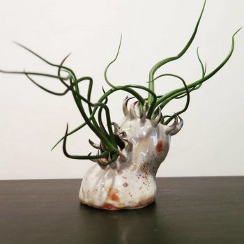 Абстрактные вазы от Gregory Knopp