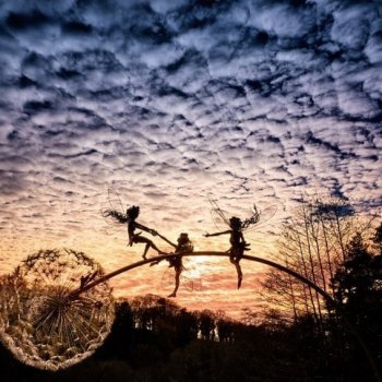 Работы из проволоки - автор Robin Wight