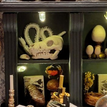 Уголок ученого от Мари-Мадлен Риверен