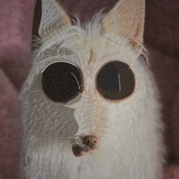 Бумажная алхимия: странно искаженные коллажи животных и людей Лолы Дюпре