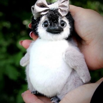 Пингвиненок с авторской выкройкой от  Валентины Крижановской