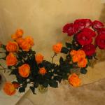 Свершилось! Галина Гайсина еще раз мама :)