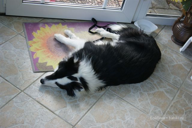 Выставка-продажа коллекционных кукол в Шпреевальде (Spreewald)