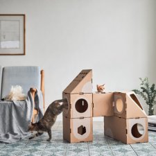 Кошачьи вещи Cat Thing