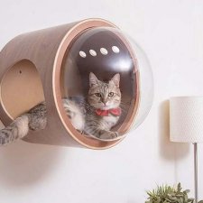 Интересные домики для кошек от компании MyZoo Studio