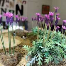 Мастер класс по созданию лаванды для мини клумб