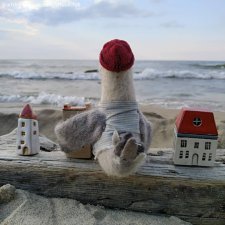 Чайк, автор Маруся Новокрещенова