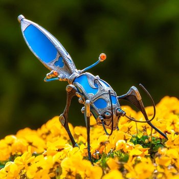 Насекомые, автор Georg Dinkel