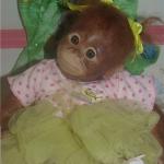 Она иностранка, она интуристка,она – обезьянка по кличке Анфиска......