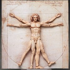 Музейная серия от Figma. Шарнирный мир