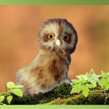 Совенок с выкройкой, игрушка от Юлии Волковой