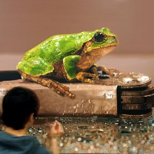 Young-sung Kim. За работой