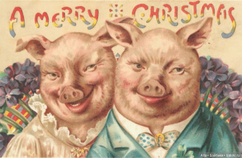 Безумные рождественские открытки (фото 3)