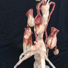 Гибриды из силикона от Laira Maganuco