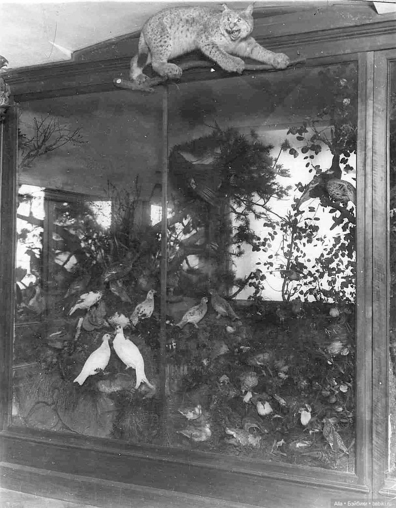 Самые стильные интерьеры богатых петербуржцев начала прошлого века