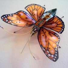 Бабочки от Julie Alice Chappell, Англия