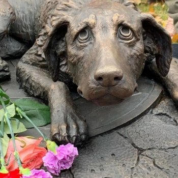 Памятник бездомным животным