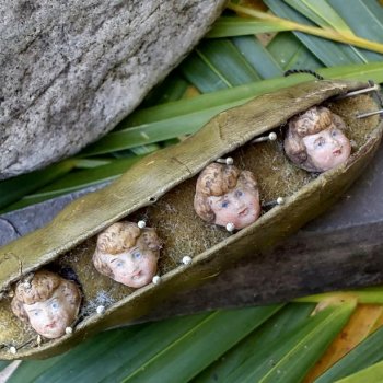 «Гороховый стручок» с секретом: Самая жуткая игольница Викторианской эпохи