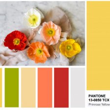 Цветовые палитры с основными цветами Весна — Лето 2017 от PANTONE Fashion Color