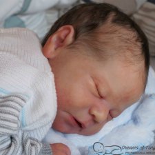 Chase скульптора Bonnie Brown, автор прототипа Leticia Moreno