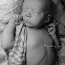 Ossie от скульптора Priscilla Lopes