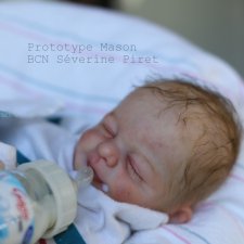 Mason скульптора Pat Moulton, автор прототипа Severine Piret