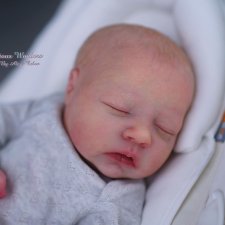 Alma от Bountiful Baby, автор прототипа Alexa Calvo