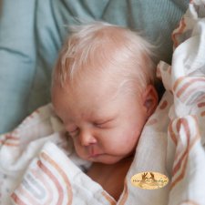 Cayle скульптора Olga Auer, автор прототипа Bianca Franke