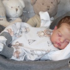 Remi Ashton скульптора Cassie Ann Brace, автор прототипа Cheryl van Pletzen