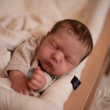 Willa скульптора Cassie Ann Brace, автор прототипа Nikki Johnston