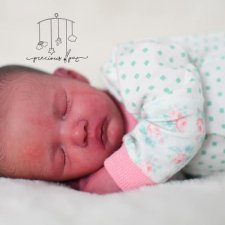 Little Birdie от скульптора Viviane Aleluia, автор прототипа Holly Paz