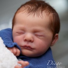 Diego скульптора Karola Wegerich, автор прототипа Bianca Franke