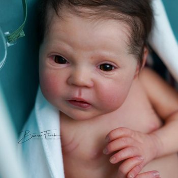 Mayven by Viviane Aleluia, автор Bianca Franke