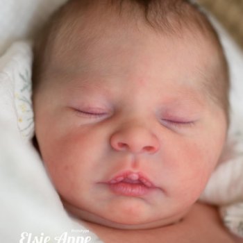 Elsie Anne скульптора Doris Moyers, автор прототипа Belirababy Reborn