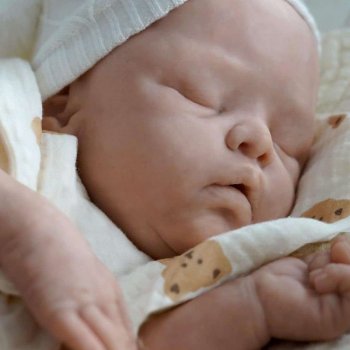 Little Bear скульптора Beatriz Clemente