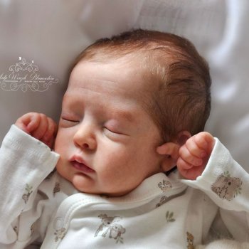 Daja скульптора Bina Esmina Reborn's, автор прототипа Antje Wenzek-Blumenstein