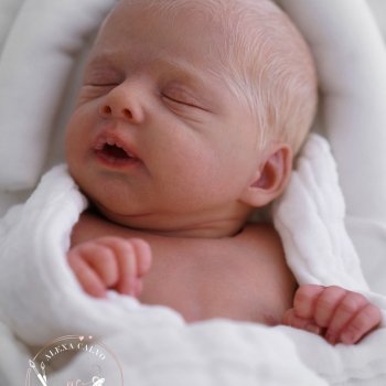 Ilea - скульптор Ольга Aуэр / прототип Alexa Calvo