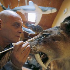 Скульптор-анималист из Бельгии