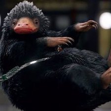 Nifflers грызуно-подобное существо с выкройкой