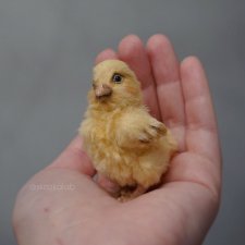 Цыпленок, авторская выкройка Виктории Макаровой