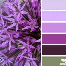 Фиолетовый - сочетание цветов