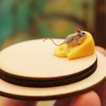 Масштаб 1:12. Мастер Кэти Дока