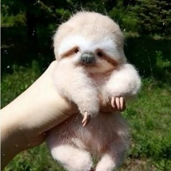 Тедди ленивец с выкройкой, автор Олеся Демиденко