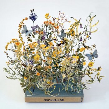 Бумажные работы Su Blackwell