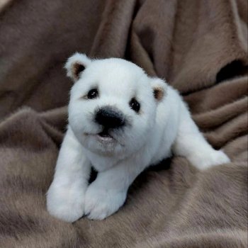 Умка от Валентины Крижановской с выкройкой